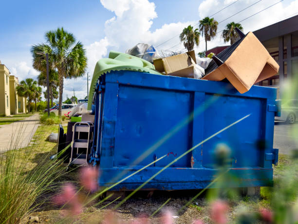 Debris Removal in Mayo, MD