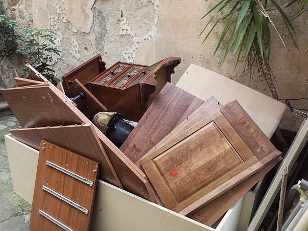 Best Professional Junk Removal  in Mayo, MD